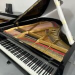 WhatsApp Image 2025-09-11 at 14.22.49 (1)