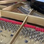 WhatsApp Image 2025-09-11 at 14.22.49