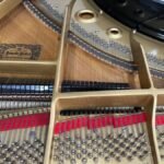 WhatsApp Image 2025-09-11 at 14.22.49 (2)