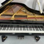 WhatsApp Image 2025-09-11 at 14.22.50 (1)