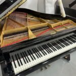 WhatsApp Image 2025-09-11 at 14.22.50