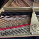 WhatsApp Image 2025-09-11 at 14.22.50 (2)