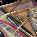 WhatsApp Image 2025-09-11 at 14.22.50 (3)