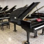 WhatsApp Image 2025-09-11 at 14.24.31 (1)