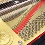 WhatsApp Image 2025-09-11 at 14.24.31