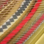 WhatsApp Image 2025-09-11 at 14.24.31 (2)