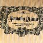 WhatsApp Image 2025-09-11 at 14.24.31 (3)