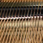 WhatsApp Image 2025-09-11 at 14.24.32 (1)