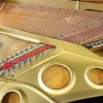 WhatsApp Image 2025-09-11 at 14.24.32