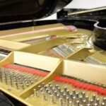 WhatsApp Image 2025-09-11 at 14.24.32 (2)