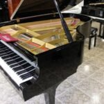 WhatsApp Image 2025-09-11 at 14.24.32 (3)