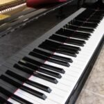 WhatsApp Image 2025-09-11 at 14.24.33