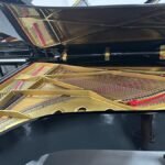 WhatsApp Image 2025-09-11 at 14.25.56 (1)