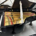 WhatsApp Image 2025-09-11 at 14.25.56