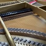 WhatsApp Image 2025-09-11 at 14.25.56 (2)