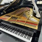 WhatsApp Image 2025-09-11 at 14.25.57 (1)