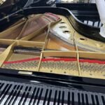 WhatsApp Image 2025-09-11 at 14.25.57