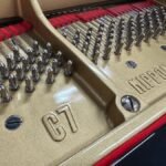 WhatsApp Image 2025-09-11 at 14.25.57 (2)